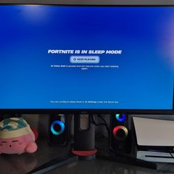 29 inch gaming monitor