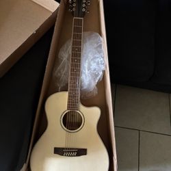 Cort 12 String Acoustic Electric Guitar 