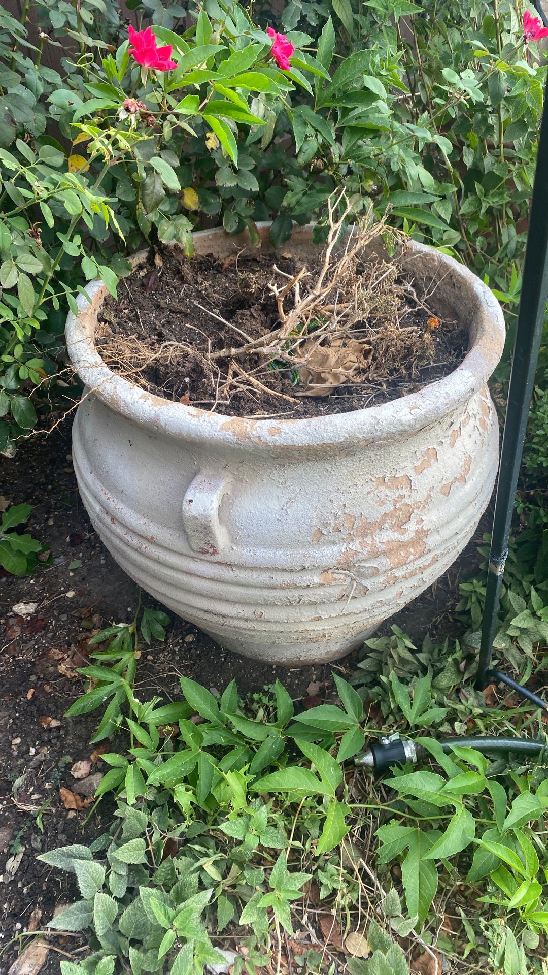 Vintage Clay Pot Have 2 Each