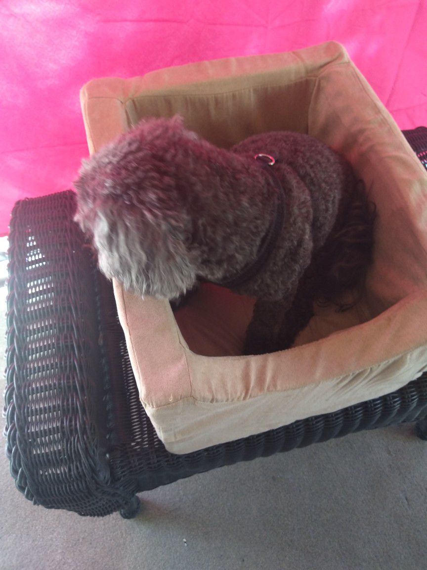 Pet Dog Cage Car Seat