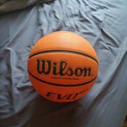 Wilson Evo Next Basketball