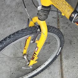 Amazing Cannondale 700