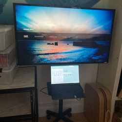 40 Inch Vizio HD 1080p Monitor on Rolling Cart