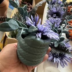Halloween Plotted Plants
