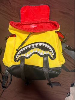 Sprayground backpack