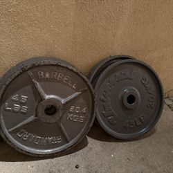 45 &35 LB Weight Plates