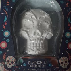 Sugar Skull Coloring Set