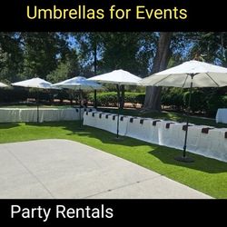Umbrellas 