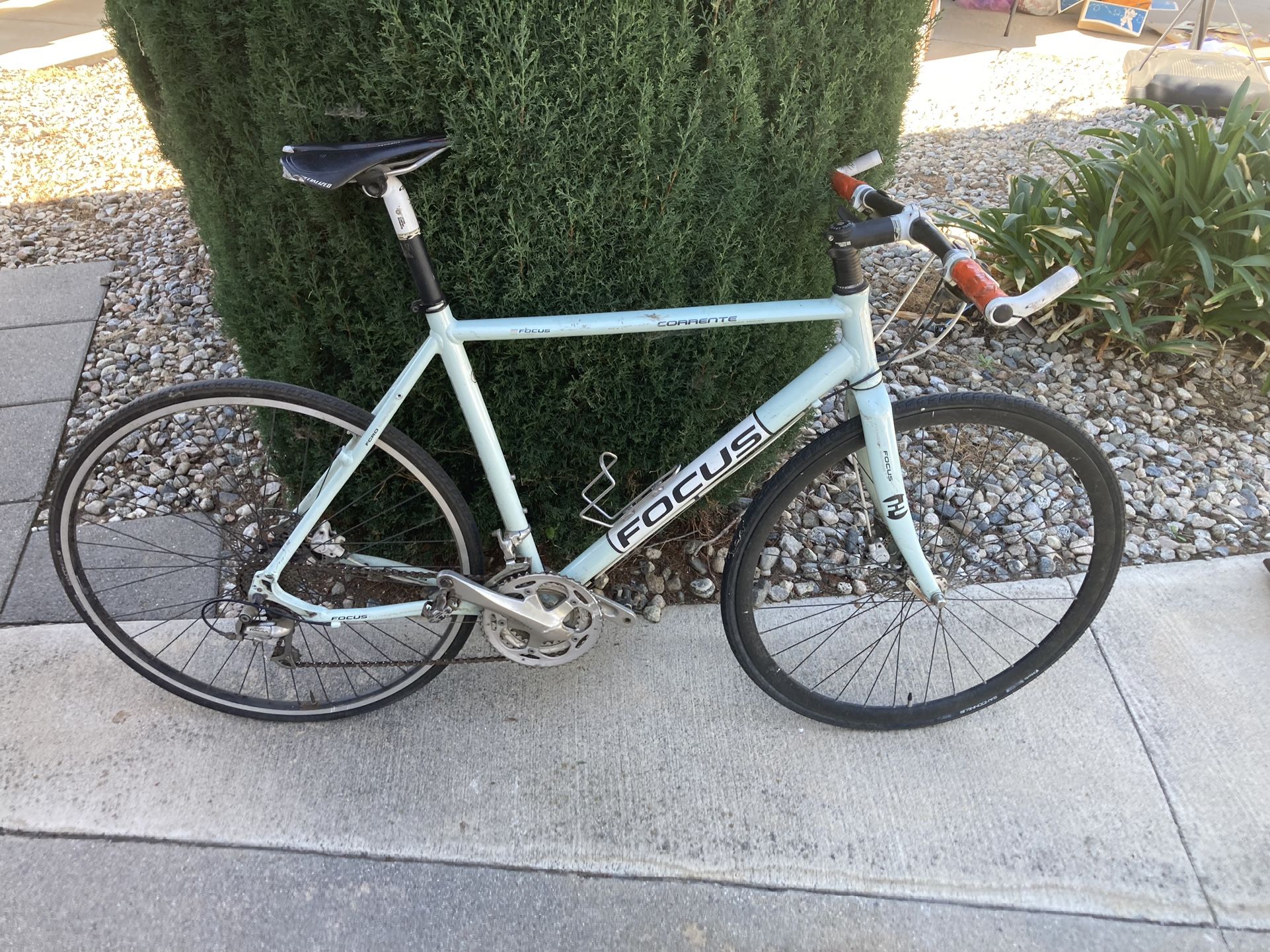 Street Bike: Focus Corrente 31.5 Inches