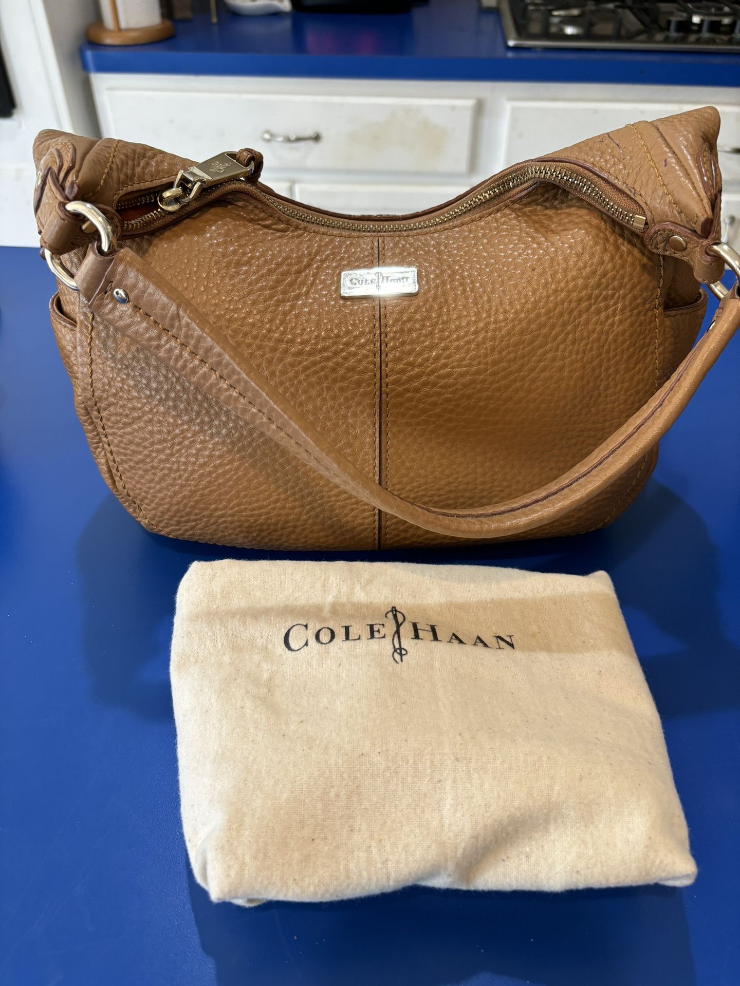 Cole Haan Hobo Purse 