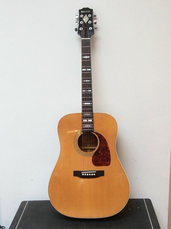 Gibson Nouveau NV6 ...Accoustic