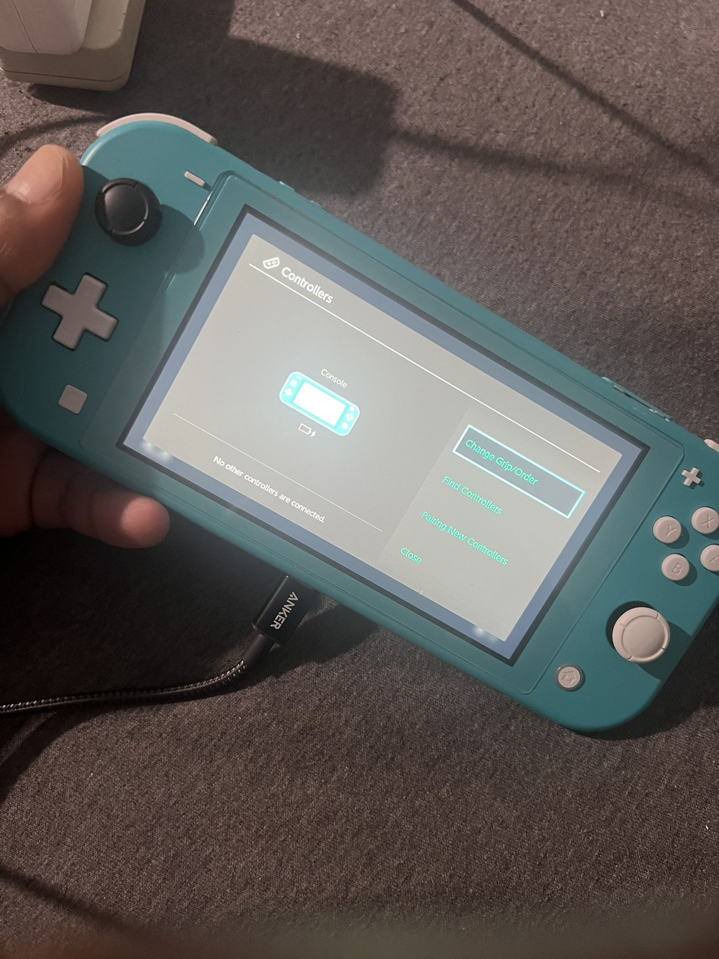 Switch lite