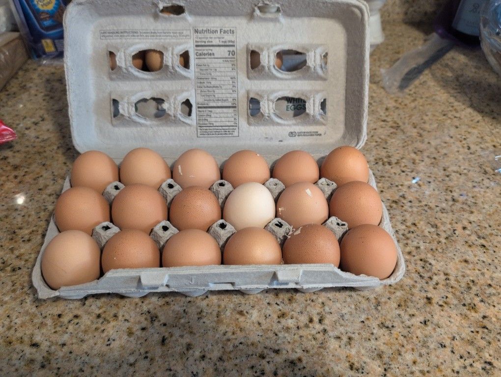 Freah Eggs