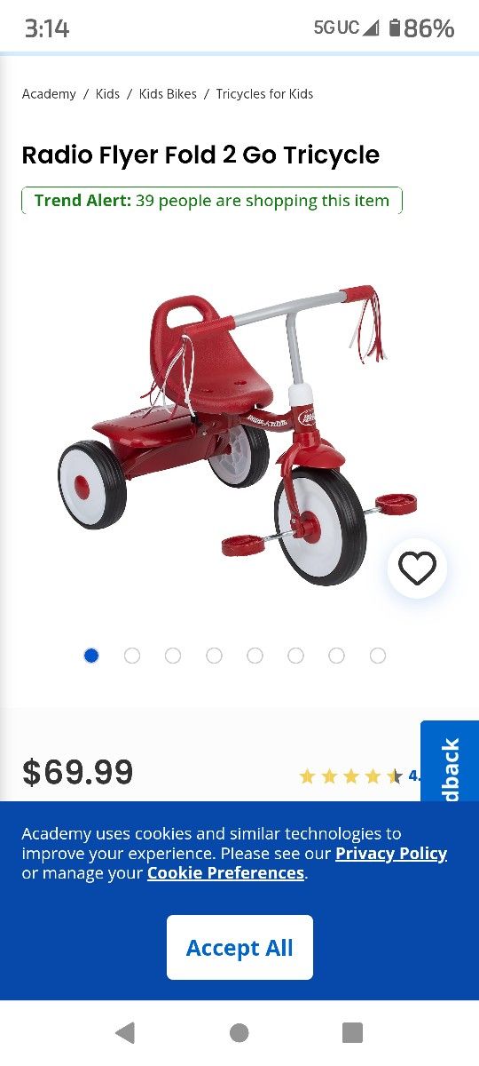 Radio Flyer Fold N Go Tricycle