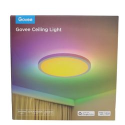 Govee Ceiling Light