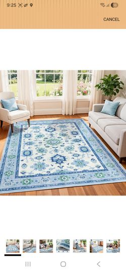 10x12 Rug