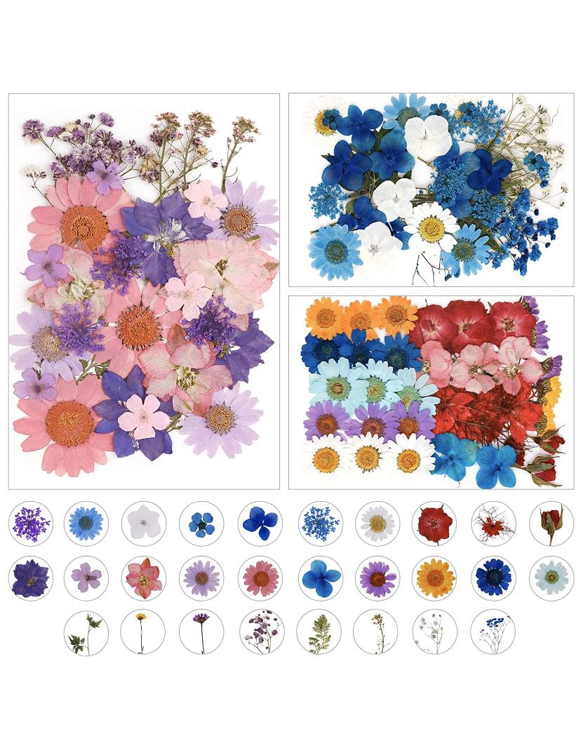 101PCS Real Dried Pressed Flowers Natural Dried Flowers Multicolor Nail Dry Flowers for Resin, Scrapbooking, DIY Candle, Jewelry Pendant Crafts Making