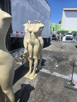 Maniquins