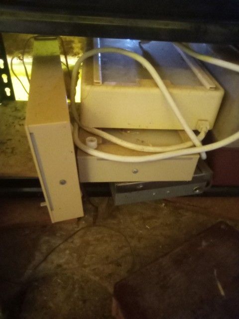 4 X Ray Lights 10 Each Or All 4 For 30