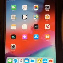 Ipad Mini 2 