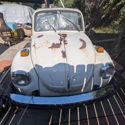 1979 Volkswagen Beetle on offerup