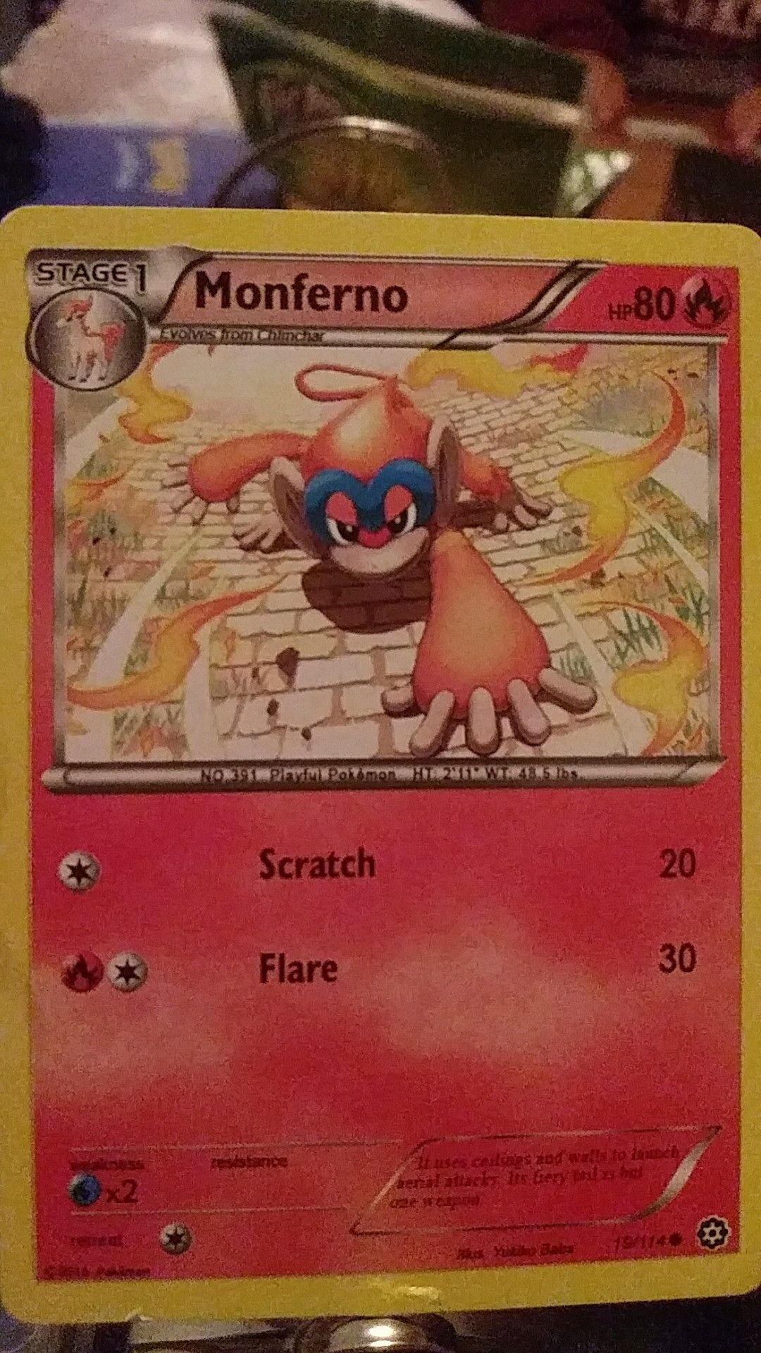 Misprinted Pokemon card - engenhariafw.com.br Misprinted Pokemon card - engenhariafw.com.br