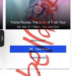 Trisha Paytas Eras Tour Meet and Greet Ticket