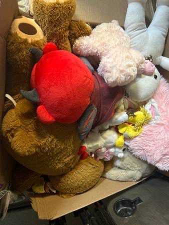 100+ Stuffed Animals