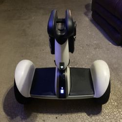 Segway Ninebot S-Pluss Scooter 