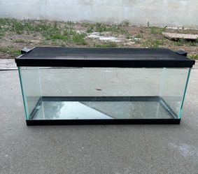 20 gallon glass tank