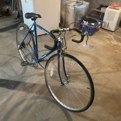 Schwinn Speedbike