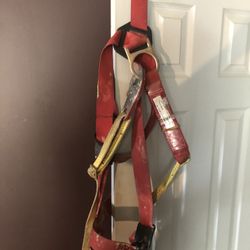 Safety harness With lanyard