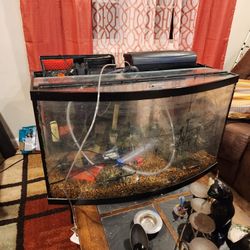 Pecera 55 Galones (Tank 55 Gallon)
