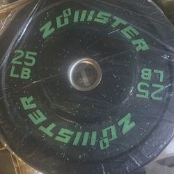 New Pair Of 25 Bumper Weights