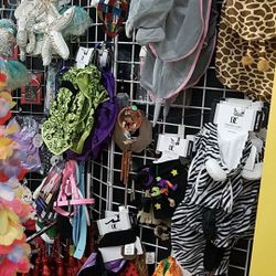 Assorted dog pet costumes $5 & up