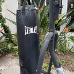 Everlast Punching Bag