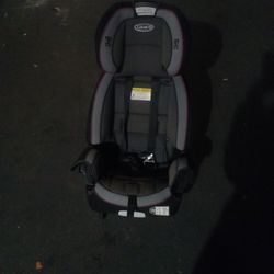 Graco Toddler Carseat