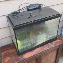 TopFin 40 Gallon Aquarium With Decorations and Sand