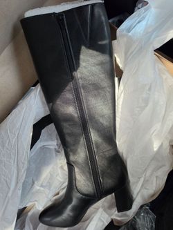Ann taylor boots
