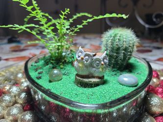 Owls garden