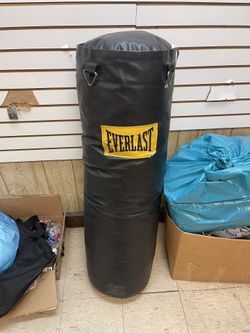 Everlast Punching Bag