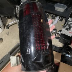 Tail Light 