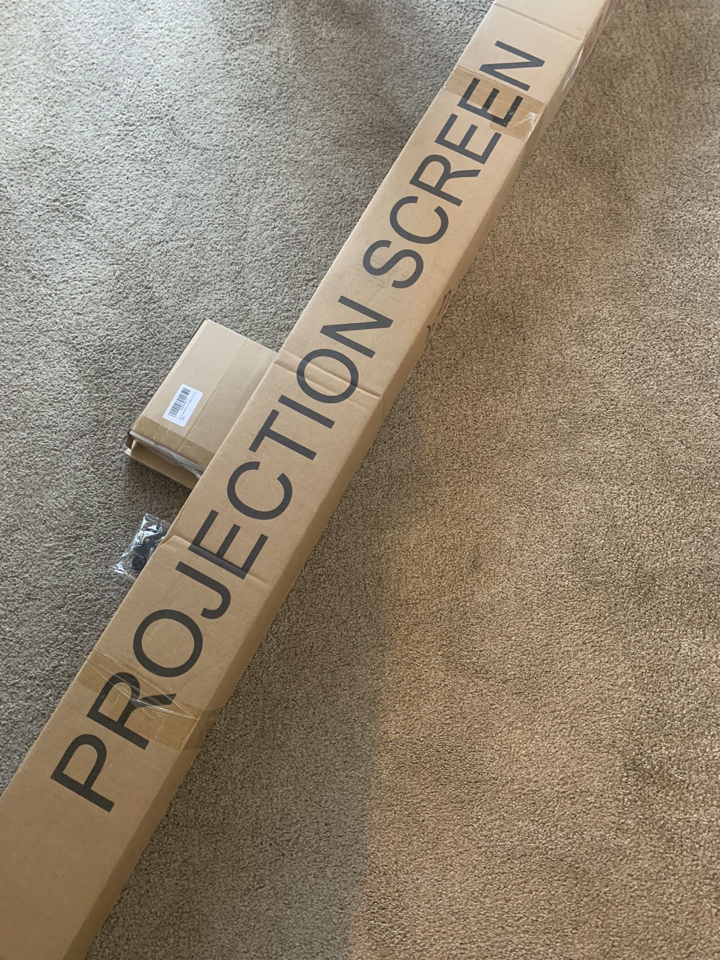 Projector