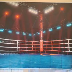 Boxing Ring Backdrop 7 Ft x 5 Ft NEW 
