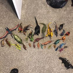 Dinosaurs