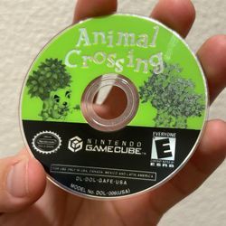 Animal Crossing Video Game 