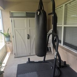 Everlast Punching Bag W/ Stand