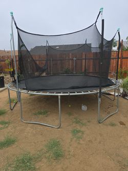 Free Perfect Condition