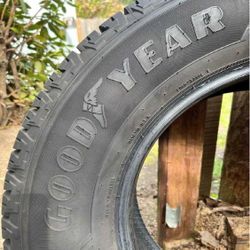 Enjoy a Smooth Drive with Ford Tires in All Styles and Sizes clearly food