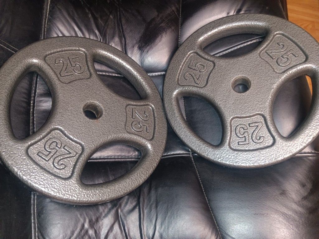 Set of 25 Lb Weight plates 